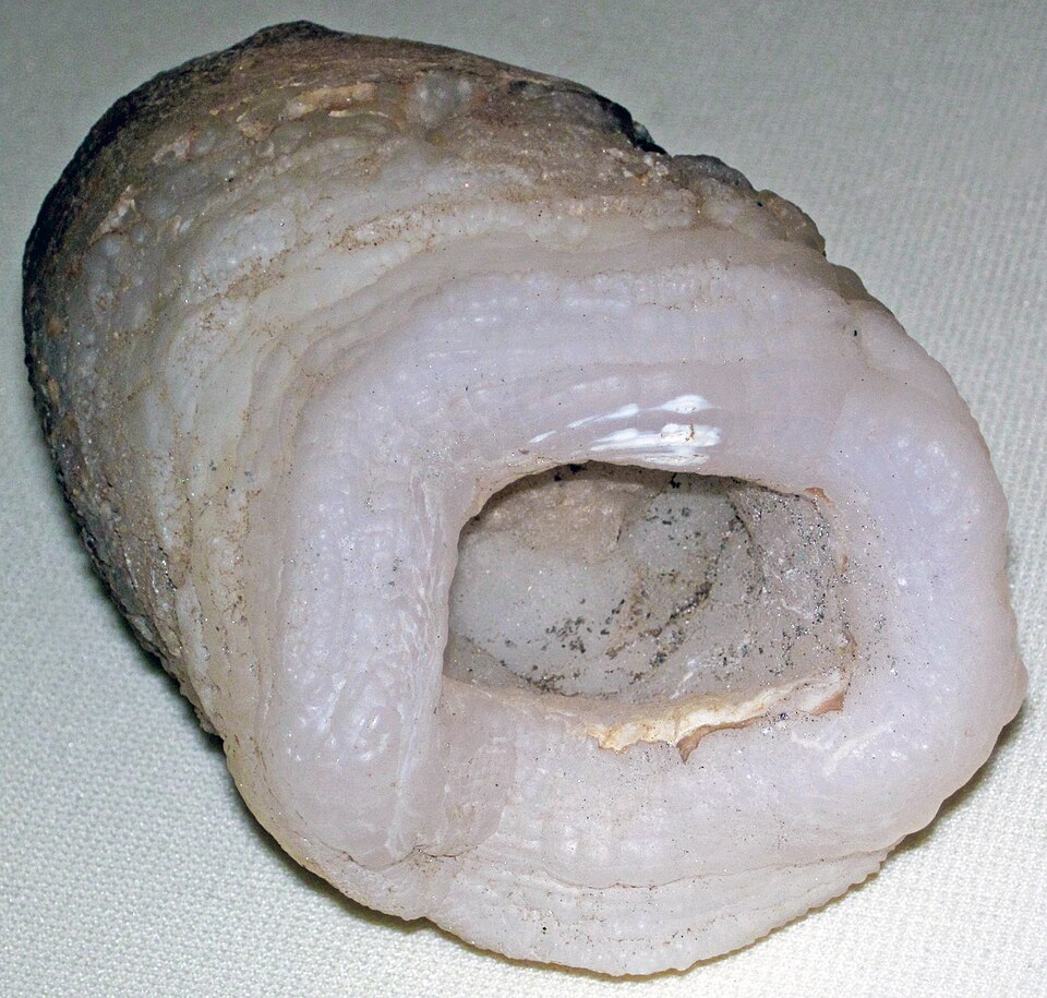Calcedonio