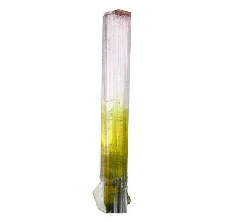 Elbaite watermelon — sezione policroma, Madagascar
