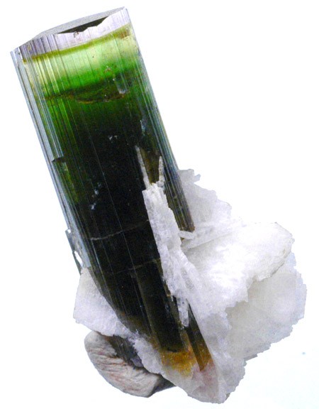 Liddicoatite