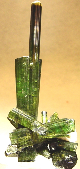 Liddicoatite — campione