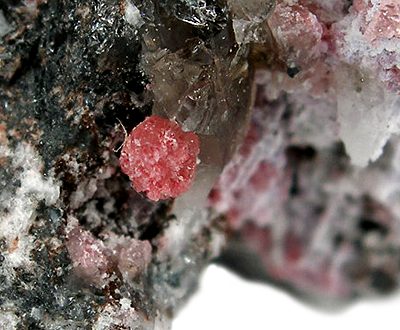 Variscite — esemplare
